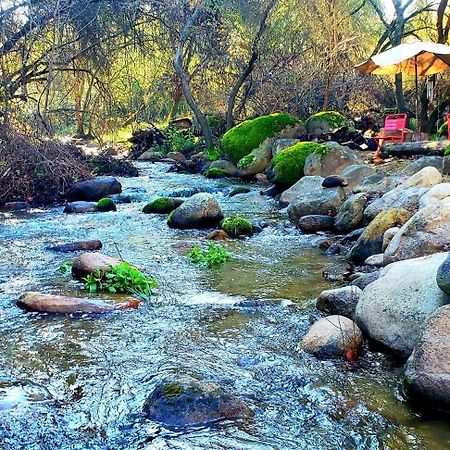 Magical River House ! 10 Min To Snp Park Entrance Три Ривърс Екстериор снимка